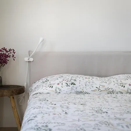 Casa Areia 科拉雷斯