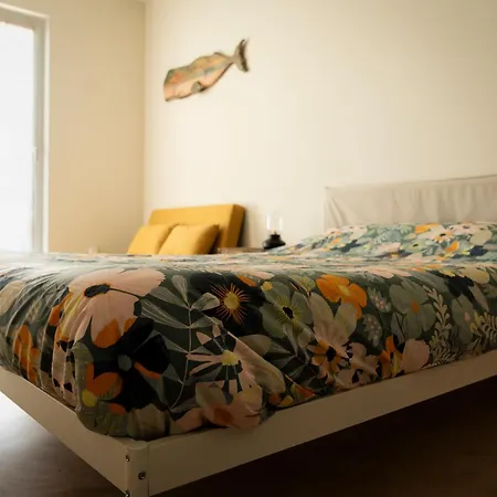 Casa Areia コラレス